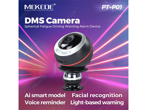 PT-P01