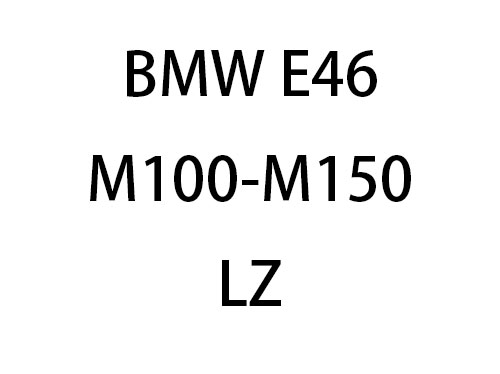 BMW E46 M100-M150 Luzheng
